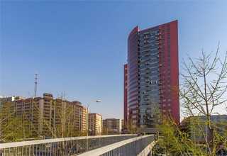 山东篮球馆吸音涂料怎么做